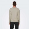 ONLY & SONS ONSWYLER LIFE REG 14 LS CREW KNIT NOOS ECRU ONLY & SONS ONSWYLER LIFE REG 14 LS CREW KNIT NOOS ECRU