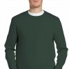 REPLAY COTTON CREW-NECK SWEATER GREEN