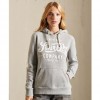 SUPERDRY Script Style College Hoodie GREY