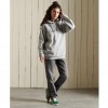 SUPERDRY Core Logo Source Hoodie GREY