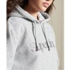 SUPERDRY Core Logo Source Hoodie GREY