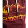 SUPERDRY Vintage Core Logo Great Outdoors Hoodie RED