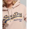 SUPERDRY Graphic Logo Sparkle Hoodie Pink