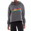 SUPERDRY Vintage Logo Rainbow Hoodie GREY