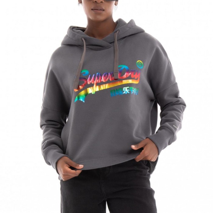 SUPERDRY Vintage Logo Rainbow Hoodie GREY